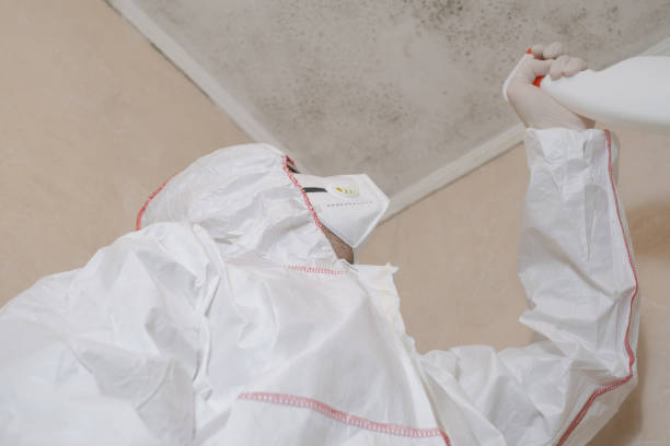 Best Office Mold Removal Services  in New City, NY