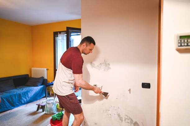 Best Office Mold Removal Services  in New City, NY